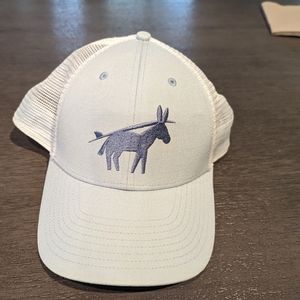Patagonia hat